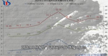 2024年10月贛州鎢協(xié)預(yù)測均價與上半月各大型鎢企長單報價