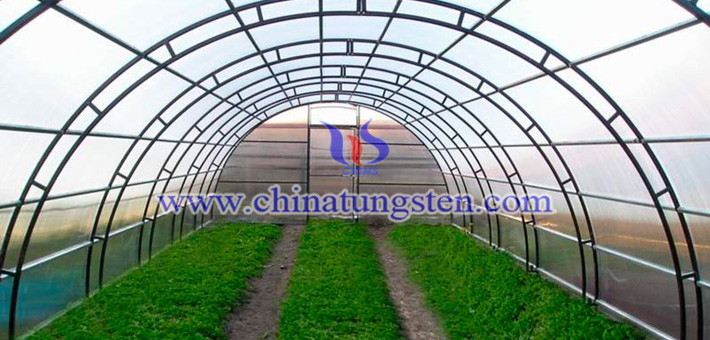 yellow nano tungsten oxide applied for thermal absorption agricultural plastic film picture