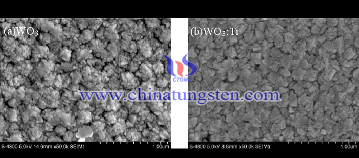 SEM surface morphology of the WO3 and WO3-Ti films