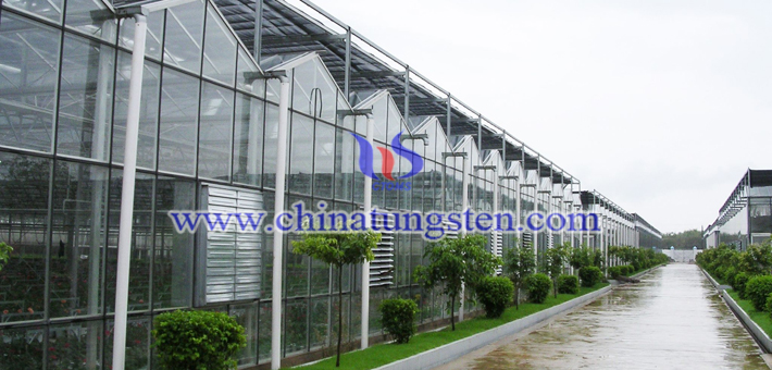 WO3 nanopowder applied for glass thermal insulation coating picture