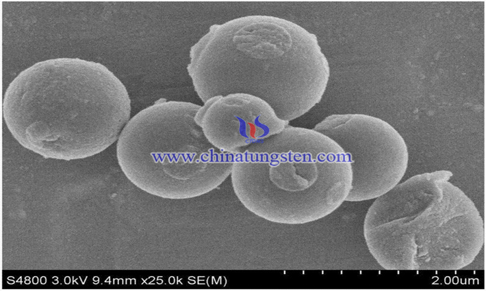 nnano tungsten trioxide sem image