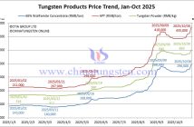 Tungsten Powder Price Reaches RMB 650/kg – October 30, 2025 Tungsten Price Trend from January to October 30, 2025