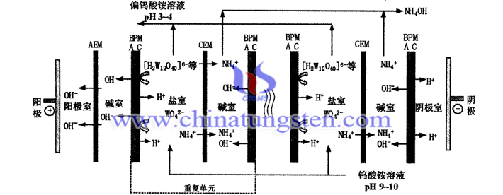 雙極膜電滲析法制備偏鎢酸銨溶液圖片