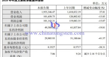 廈鎢2018年年度財務(wù)數(shù)據(jù)圖片