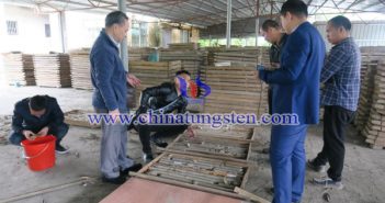 大金山鎢錫多金屬礦地質(zhì)資料入庫廣東省國土資源檔案館