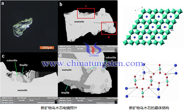 烏木石礦物晶體電鏡掃描照片與礦物晶體機構(gòu)圖片