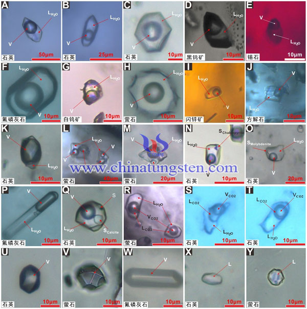 大湖塘礦床不同包裹體類型代表性顯微圖片