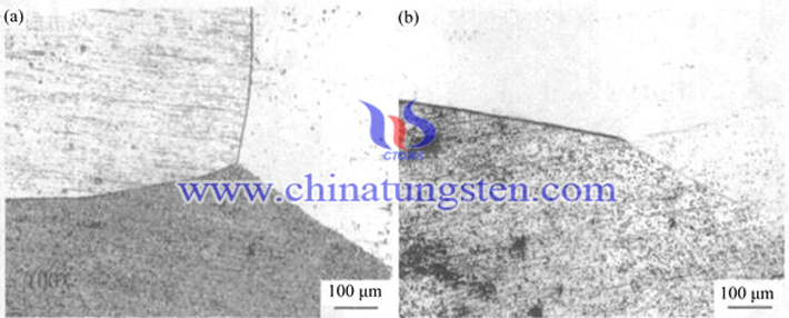 鉭鎢鑄錠金相組織圖片（來源：趙鑫/北京科技大學(xué)材料科學(xué)與工程學(xué)院）
