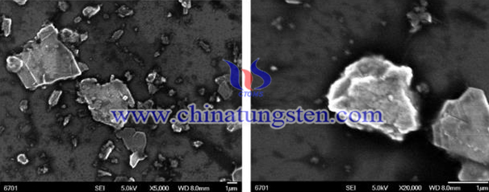 二硫化鎢粉末超聲處理後的SEM圖（圖源：燕山大學(xué)工學(xué)）