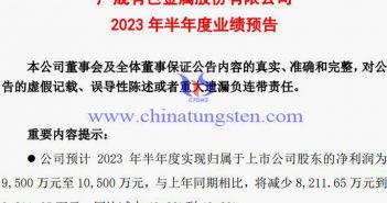 廣晟有色2023年上半年業(yè)績預(yù)告圖片