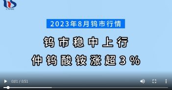 2023年8月鎢市行情