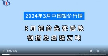 2024年3月鉬市行情分析