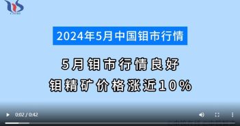 5月鉬市行情如何