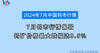 7月鎢市行情如何