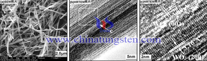 SEM image of tungsten oxide nanorod picture