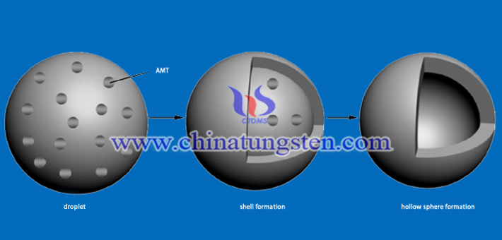 forming of hollow ammonium metatungstate sphere image