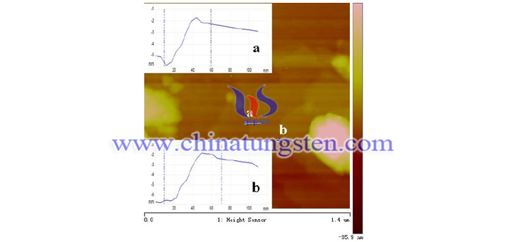 AFM  image  of  h  WO3  ultra  thin  nanosheet