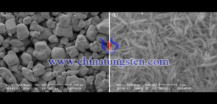 SEM image of violet tungsten oxide