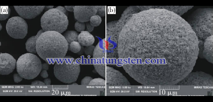 SEM image of WC-Co composite powder prepared in hydrogen reduction processes picture