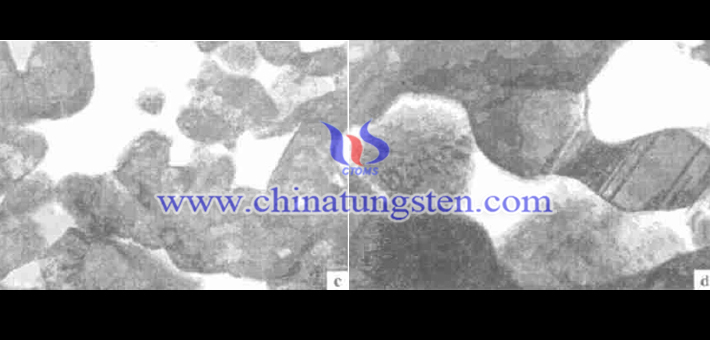 TEM image of tungsten carbide powder film sample