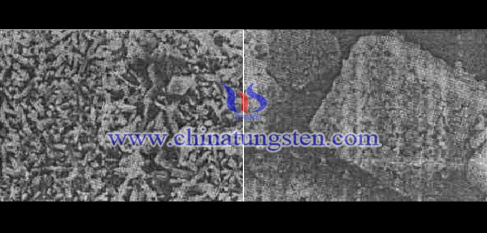 SEM picture of tungsten oxides