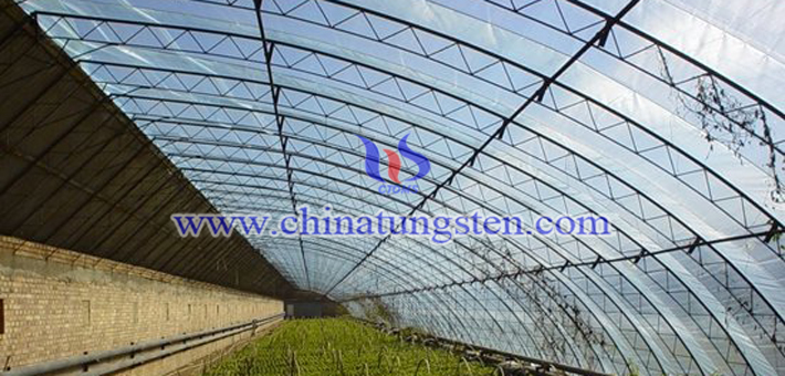 nano grain size violet tungsten oxide applied for thermal absorption agricultural plastic film picture