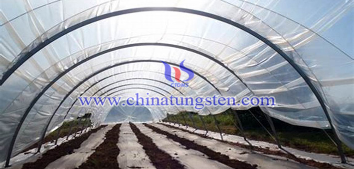 nano violet tungsten oxide applied for thermal absorption agricultural plastic film picture