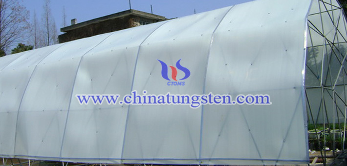 violet tungsten oxide powder applied for heat insulation agricultural film picture