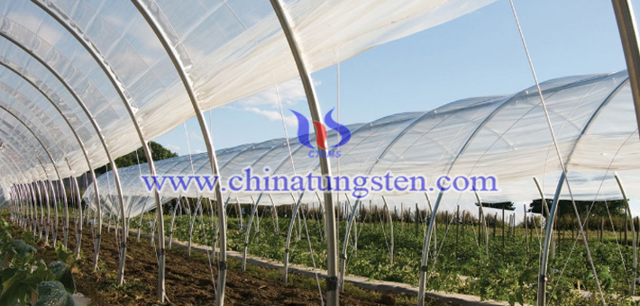 tungsten oxide applied for thermal absorption agricultural plastic film picture