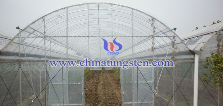 tungsten oxide powder applied for heat insulation agricultural thin film picture