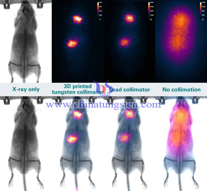 tungsten alloy collimator applied for X ray detector picture