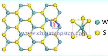 graphene-like two-dimensional material: tungsten disulfide picture