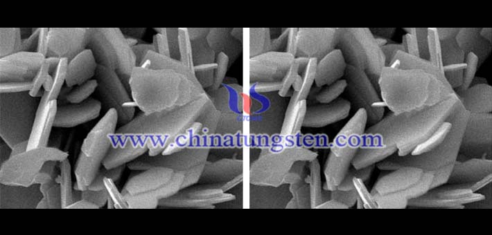 SEM image of tungsten disulfide nanosheets