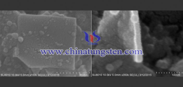 SEM of tungsten disulfide nanosheet image