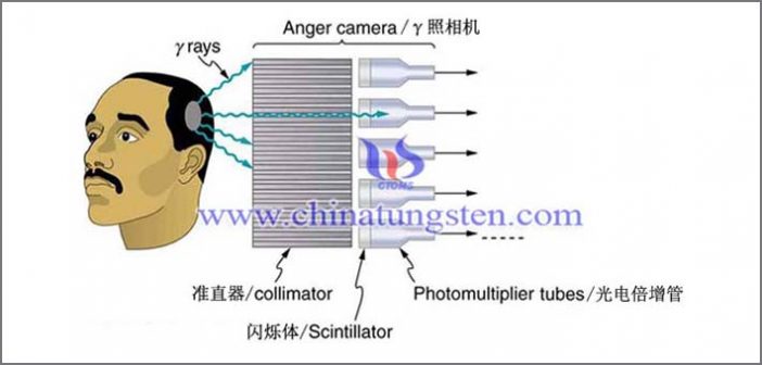 tungsten alloy collimator applied for anger camera picture