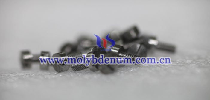 molybdenum screw picture