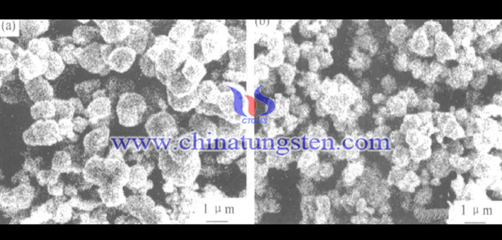 用藍(lán)鎢制取的研磨態(tài)鎢粉的SEM形貌