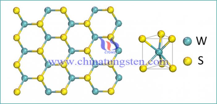 新型類(lèi)石墨烯二維材料：二硫化鎢圖片