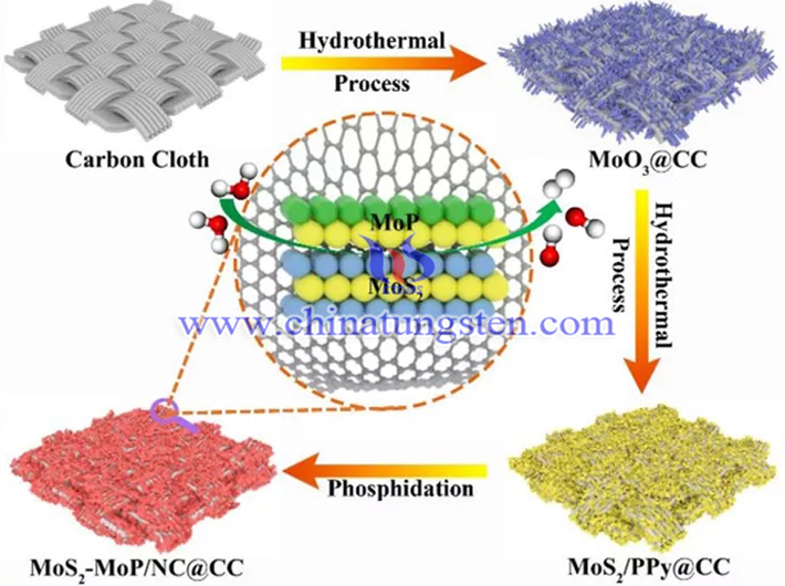 碳布上合成MoS2-MoP/NC示意圖