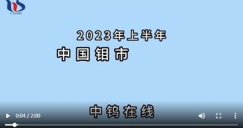 2023年上半年中國鉬市場行情