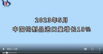 2023年5月中國鎢制品進口情況