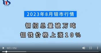 2023年8月中國鉬市行情