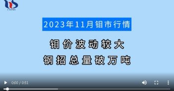 2023年11月鉬市行情圖片