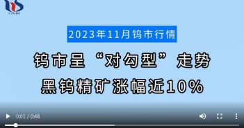 2023年11月鎢市行情