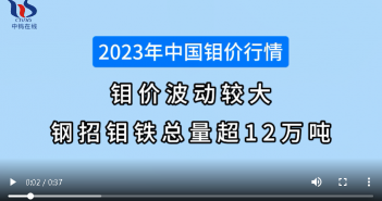 2023年中國(guó)鉬價(jià)行情