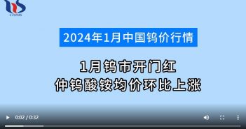 2024年1月仲鎢酸銨均價環(huán)比上漲圖片