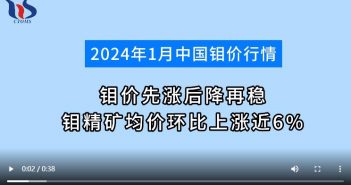 2024年1月鉬精礦均價環(huán)比上漲圖片