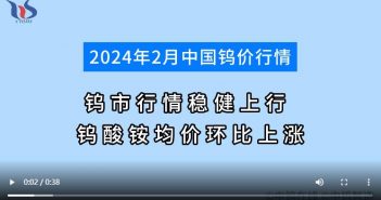 2024年2月中國(guó)鎢價(jià)行情