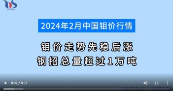 2024年2月中國(guó)鉬價(jià)行情