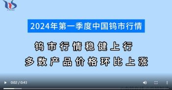 2024年第一季度鎢市行情分析